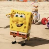 Phim hoạt hình "SpongeBob" soán ngôi của Lính bắn tỉa Mỹ