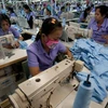 Indonesia sẽ đầu tư 100 tỷ rupiah cho ngành dệt may năm 2015