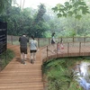 Singapore: Công viên Tự nhiên Windsor sẽ khai trương vào năm 2016