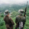 FARC nghi ngờ quyết định ngừng ném bom của tổng thống Colombia 