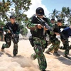 Indonesia thông qua kế hoạch tổ chức lại quân đội trong 5 năm tới 