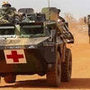 Mali cầu viện sự trợ giúp của LHQ để giải quyết khủng hoảng 