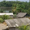 Brazil tăng cường bảo vệ đất cho cộng đồng người thổ dân