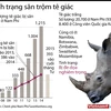 [Infographics] Toàn cảnh tình trạng săn trộm tê giác ở châu Phi