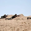 Binh sỹ Syria giao tranh với IS tại khu vực đông bắc thành phố cổ Palmyra ngày 17/5. (Ảnh: AFP/TTXVN)