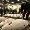 Một chợ cá ở Nhật Bản. (Ảnh: tofugu.com)