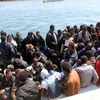 Trong nửa đầu năm 2015, có khoảng 137.000 người di cư đã cố vượt biển Địa Trung Hải để vào châu Âu. (Ảnh: THX/TTXVN) 
