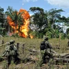 Quân đội Colombia phá hủy một khu điều chế cocaine của FARC. (Ảnh: AFP) 