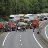 Nông dân Pháp chặn đường cao tốc để biểu tình tình phản đối việc giá các mặt hàng nông sản sụt giảm mạnh. (Ảnh: AFP)