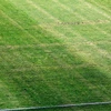 Biểu tượng phátxít xuất hiện trên mặt sân trận Croatia-Italy vào tháng trước. (Nguồn: espnfc.com)