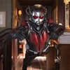 'Ant Man' tiếp tục dẫn đầu bảng xếp hạng các phim ăn khách nhất khu vực Bắc Mỹ tuần thứ hai. (Nguồn: AP)