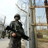 Binh sỹ Hàn Quốc canh gác ở phía nam khu phi quân sự (DMZ). (Ảnh: AFP/TTXVN)