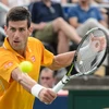 Novak Djokovic sẽ đối đầu tay vợt người Anh Andy Murray ở trận chung kết Rogers Cup 2015. (Ảnh: Getty)