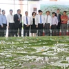 Đại biểu tham dự Hội nghị tham quan mô hình Đồ án quy hoạch chung đô thị Bắc Ninh. (Ảnh: Thái Hùng/TTXVN)