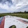 Mảnh vỡ máy bay MH17 tại hiện trưởng ở làng Grabove, miền Đông Ukraine. (Nguồn: AFP)