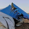 Mảnh vỡ của chiếc máy bay thuộc hãng hàng không Nga Kogalymavia rơi ở bán đảo Sinai của Ai Cập. (Nguồn: AFP)