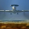 Máy bay do thám AWACS của NATO. (Ảnh: AP)