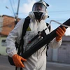 Phun thuốc diệt muỗi để ngăn ngừa virus Zika. (Nguồn: Getty Images)