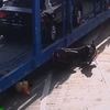 [Video] Xe container chạy ẩu cuốn bé gái 5 tuổi vào gầm