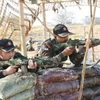 Diễn tập huấn luyện thực binh kết hợp Hành động mìn nhân đạo và Gìn giữ hòa bình (FTX-2016) mang tên FORCE 18. (Ảnh: TTXVN) 