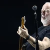Nghệ sỹ guitar David Gilmour. (Ảnh: EPA) 