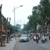 Toàn cảnh kế hoạch thay thế 6.700 cây xanh của Hà Nội