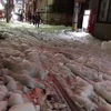 Bọt khí bí ấn xuất hiện trên đường phố Nhật Bản. (Nguồn: RT)