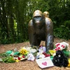 Tượng niệm con khỉ đột bị bắn chết. (Nguồn: Reuters)