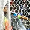 Buffon ăn mừng chiến thắng của Italy. (Nguồn: Getty Images)