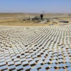 Israel xây dựng tháp năng lượng Mặt Trời. (Nguồn: timesofisrael.com)
