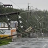 Siêu bão Meranti gây đổ cột điện. (Nguồn: AFP)