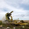 Mảnh vỡ của máy bay MH17. (Nguồn: Reuters)