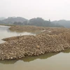 Bãi sỏi thải ở khu vực xã Vạn Thọ (huyện Đại Từ) làm cản trở dòng chảy và ảnh hưởng đến môi trường, cảnh quan du lịch Hồ Núi Cốc. (Ảnh minh họa. Nguồn: TTXVN)