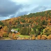 Thu về bên hồ Ullswater, một trong những hồ lớn và đẹp nhất ở vùng Lake District nằm tại Tây Bắc nước Anh. (Ảnh: Như Mai/Vietnam+)