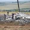 Hiện trường vụ máy bay MH17 bị bắn hạ. (Nguồn: AP)
