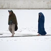 Tuyết phủ dày đặc tại Mazar-i-sharif ngày 24/11. (Nguồn: AFP/TTXVN)