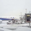 Tuyết rơi dày ở Sapporo ảnh hưởng đến giao thông hàng không. (Nguồn: scmp.com)