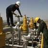 Iran đã xuất khẩu 19 triệu tấn các sản phẩm hóa dầu. (Nguồn: AP)