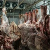 Ngành nông nghiệp Brazil lâm vào cuộc cuộc khủng hoảng thịt bẩn. (Nguồn: AFP) 