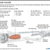 [Infographics] Tên lửa Tomahawk tấn công Syria mạnh cỡ nào?
