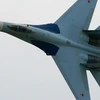 Máy bay chiến đấu Su-27 của Nga. (Nguồn: Sputnik)