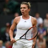 Halep lại lỡ cơ hội lên ngôi số 1 thế giới. (Nguồn: Getty)