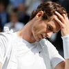 Andy Murray thành cựu vương Wimbledon. (Nguồn: AP)