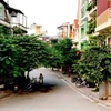 Một góc đường Trịnh Công Sơn, chụp từ dốc Âu Cơ. (Ảnh: BTC)