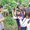 Lưu học sinh Lào tìm hiểu về cuộc sống của các hộ gia đình ở Việt Nam. (Nguồn: Trường Hữu nghị T78)
