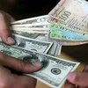 Người dân Venezuela sẽ không lệ thuộc vào đồng USD nữa. (Nguồn: noticias24.com)
