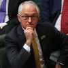 Thủ tướng Australia Malcolm Turnbull. (Nguồn: theaustralian.com.au)