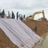 Chính quyền địa phương và nhân dân đang gia cố đê đề phòng nước lũ dâng cao trước cơn bão số 11. (Ảnh: Nguyễn Nam/TTXVN)