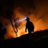 Cháy rừng ở Bồ Đào Nha. (Nguồn: Reuters)
