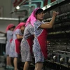 Công nhân người Triều Tiên. (Nguồn: China Daily Mail)
